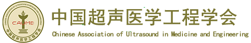 网站